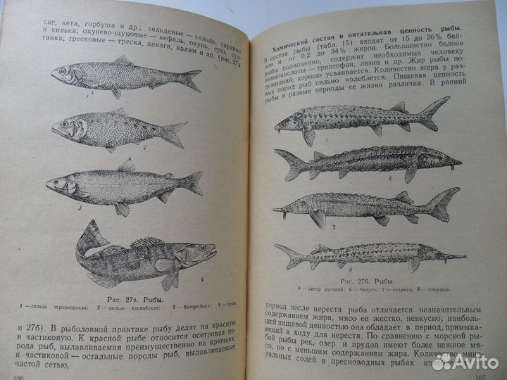 Учебник пищевой гигиены