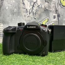 Panasonic Lumix GH5S 4.200 кадров