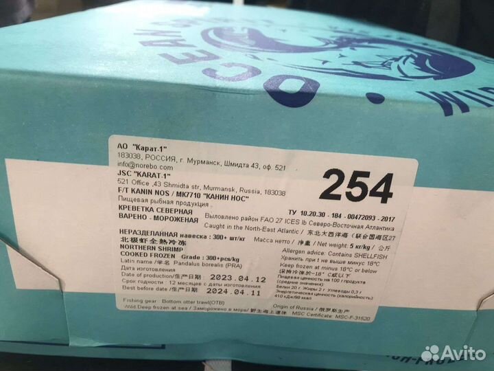 Креветка северная