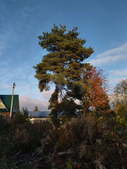 Участок 6 сот. (СНТ, ДНП)