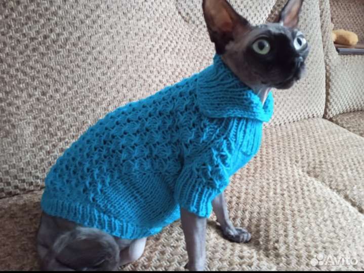 Одежда для кошек и собак