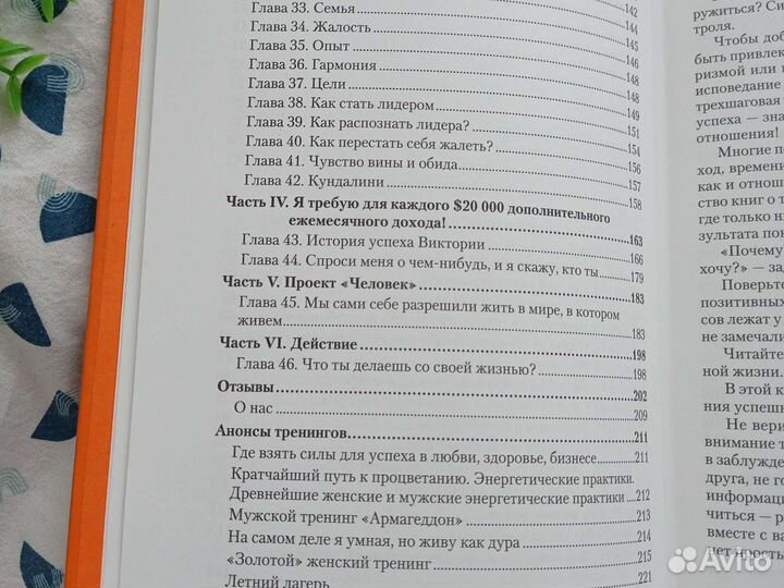 Книга. Где взять силы для успеха П. Раков