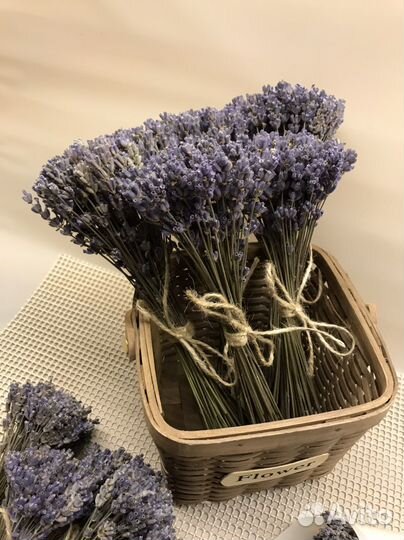 Лаванда сухоцвет букет