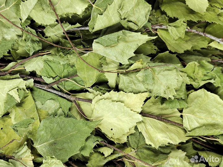 Веник березовый без упаковки