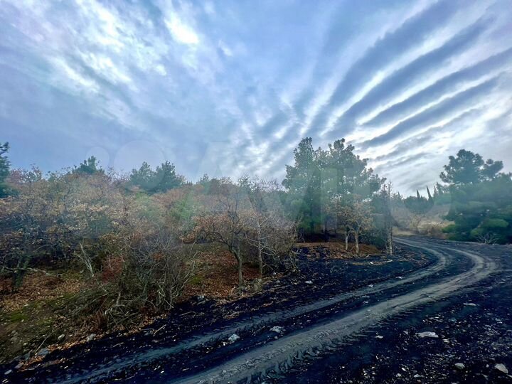 Участок 30 сот. (ИЖС)