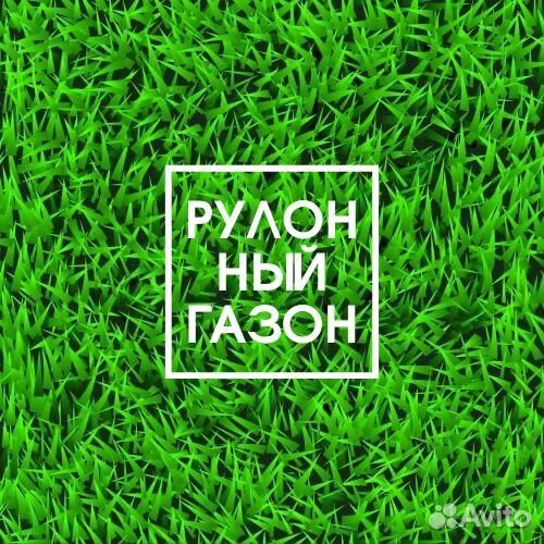 Премиальный рулонный газон в Павловский Посад