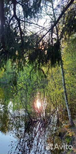 Навоз перегной козий