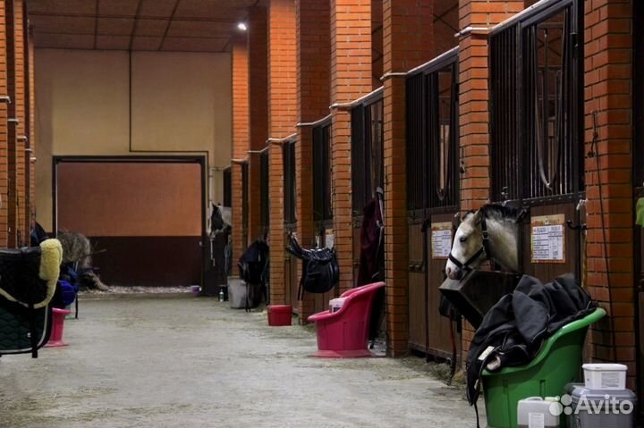 Постой для лошадей