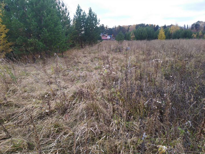 Участок 5 сот. (СНТ, ДНП)