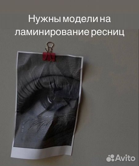 Мастер бровист/ламимейкер