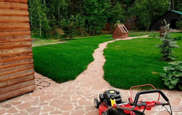 Рулонный газон под ключ
