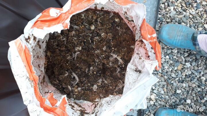 Помет куриный