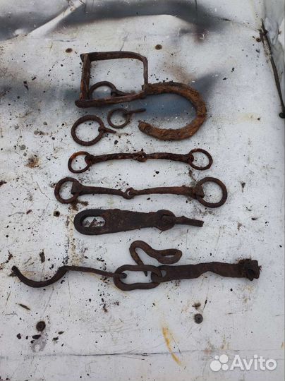 Кованина разная