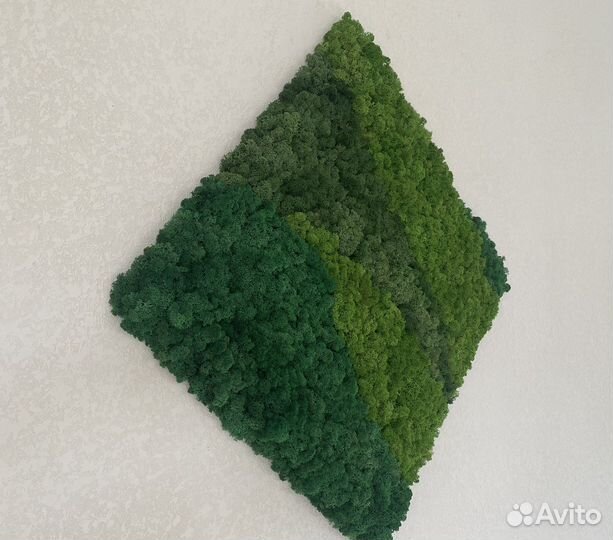 Панно из мха 610*610