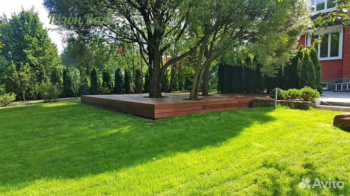 Газон рулонный делюкс