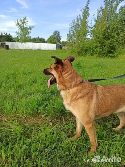 Джесси очень ждёт помощи и своего человека