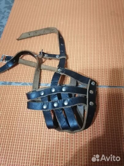 Намордник и шлейка