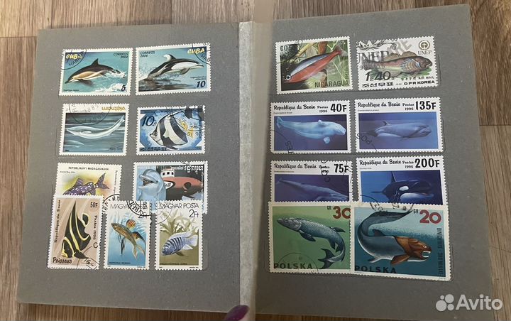 Альбом с марками подборка Рыбы