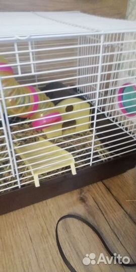 Клетка для грызунов