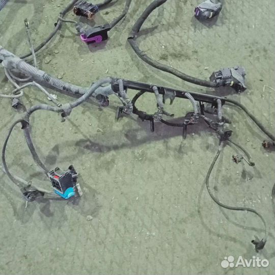 Проводка (подкапотная) двигатель Iveco Фиат Дукато