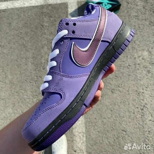 Кеды SB Dunk Low Pro OG QS Concepts/Purple Lobster