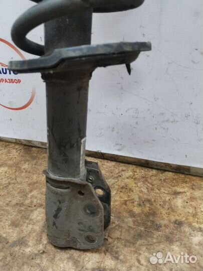 Стойка передняя левая Chevrolet Captiva C 140 2.2