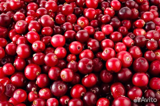 Клюква брусника черника замороженные дикорастущие