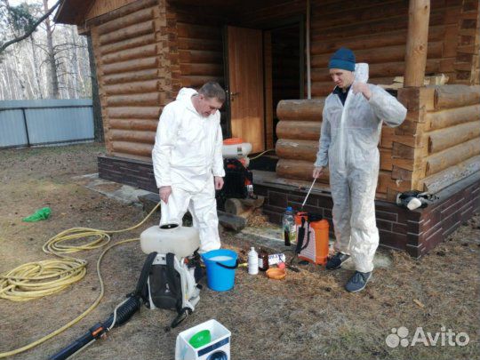 Обработка от тараканов,клещей,клопов,муравьев