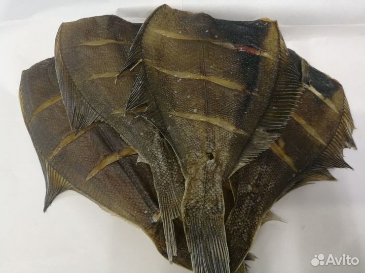 Рыба Камбала вяленая цена за кг