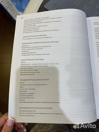 Анатомия человека Атлас-раскраска