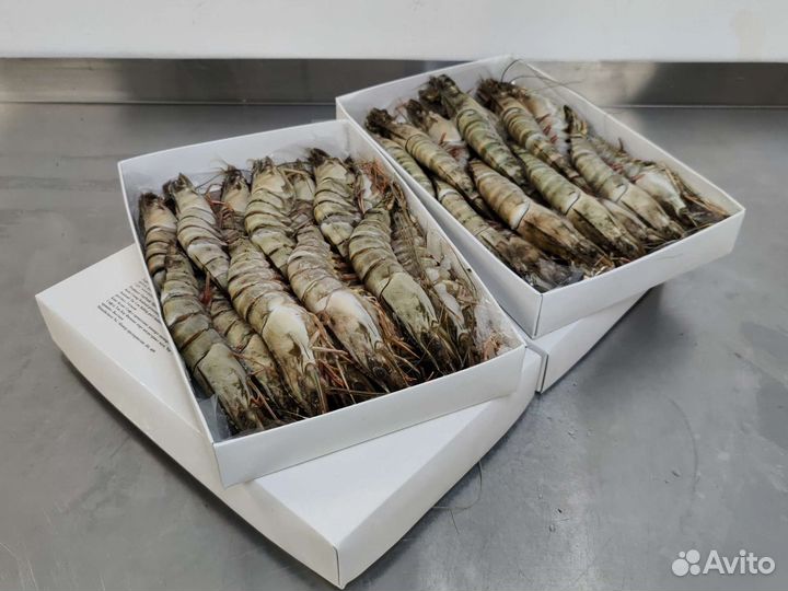 Тигровые креветки