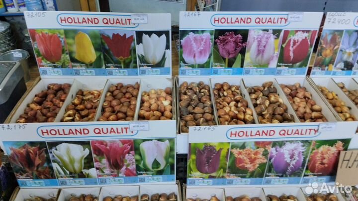 Добро пожаловать В Садовый Центр