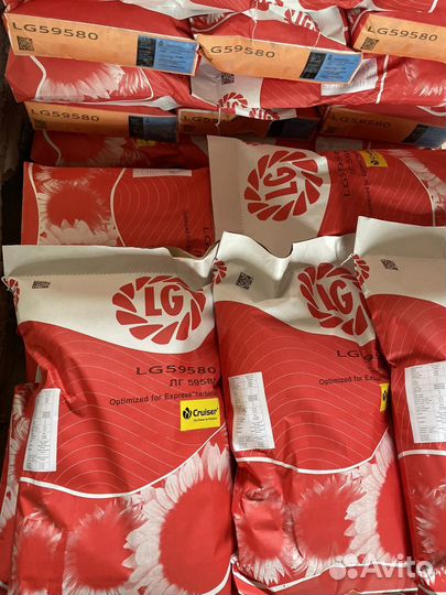 Семена подсолнечника LG 59580/5555/тунка