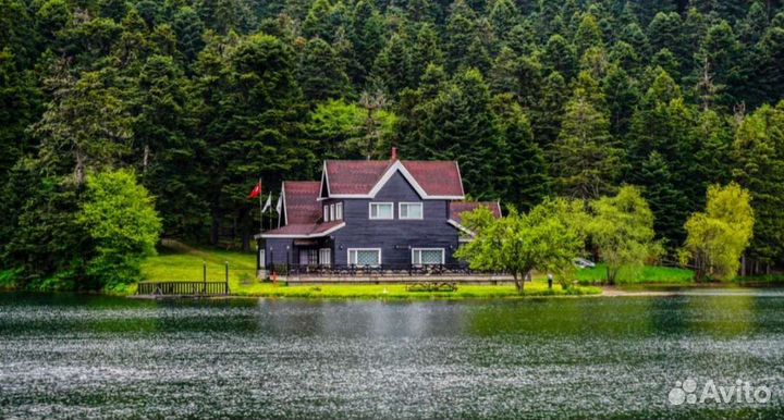 Оформление земельных участков под коммерцию