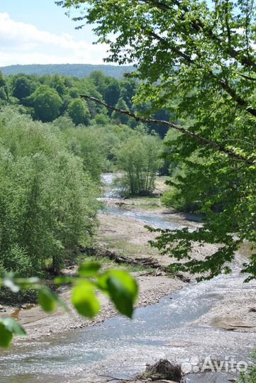 Сдам в аренду кемпинг со строениями, зем.участок