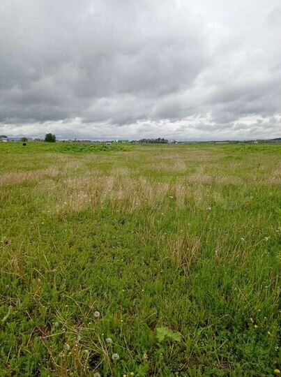 Участок 14,1 сот. (СНТ, ДНП)