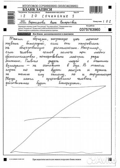 Пишу сочинение на заказ