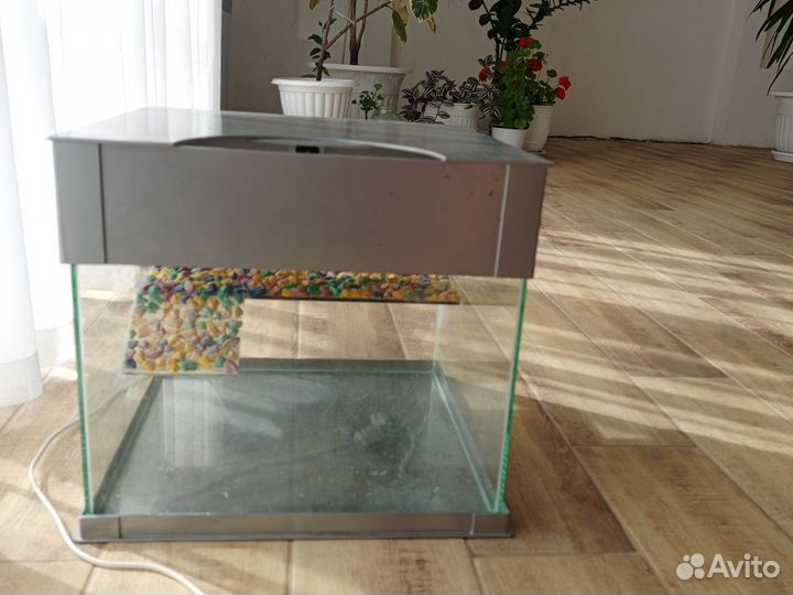 Аквариум