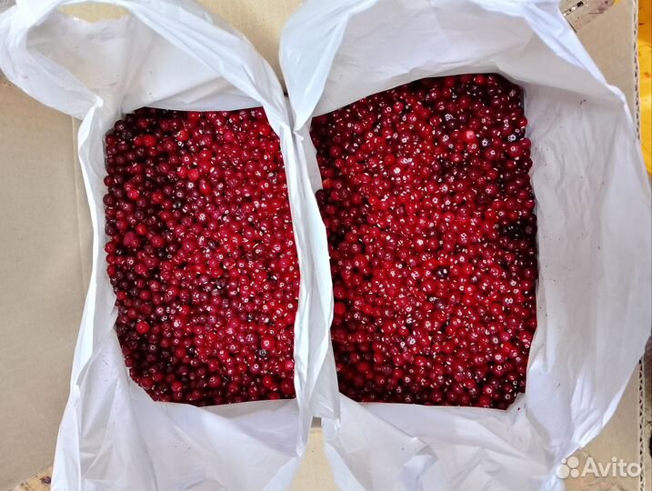 Клюква, брусника, опт