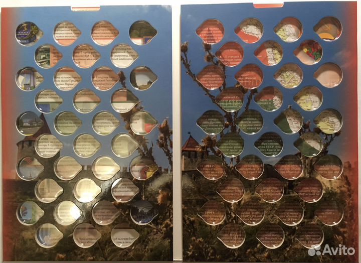 Монета год Кролика 2023 Тигр Приднестровье