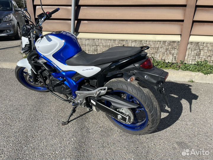 Suzuki gladius