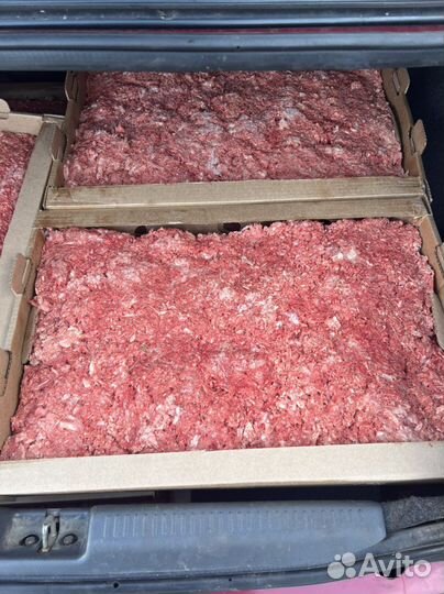 Фарш для собак