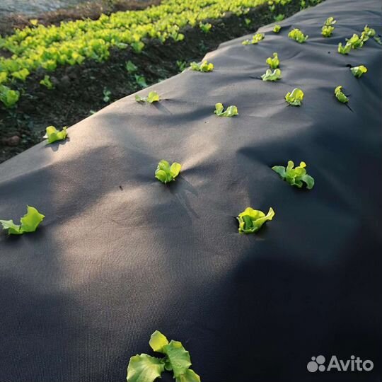 Агроспан спанбонд 60