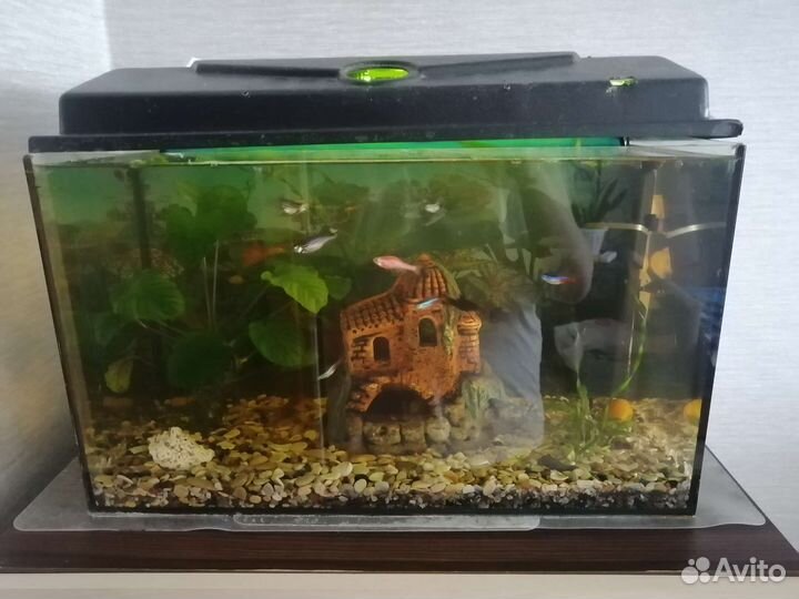 Аквариум 40 литров