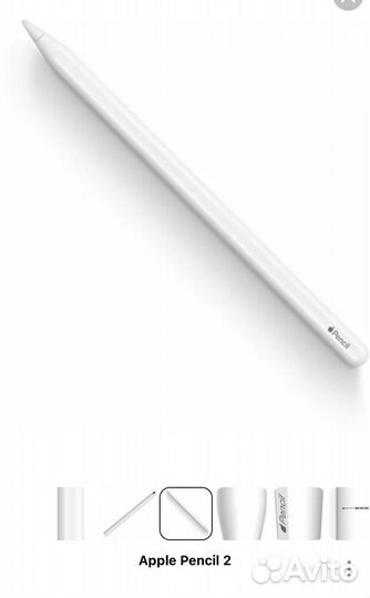 Apple pencil