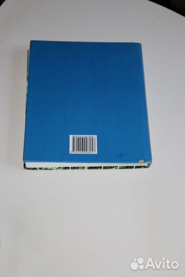 Учебник математики 6 класс Мордкович