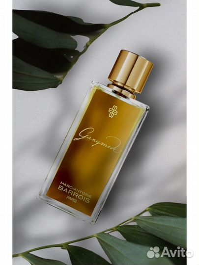 Marc-antoine barrois ganymede