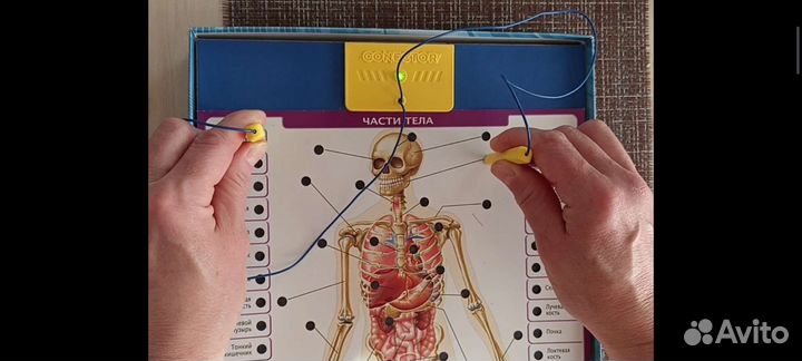 Электронная энциклопедия
