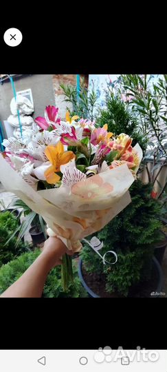 Букеты из альстримери и Фрезии