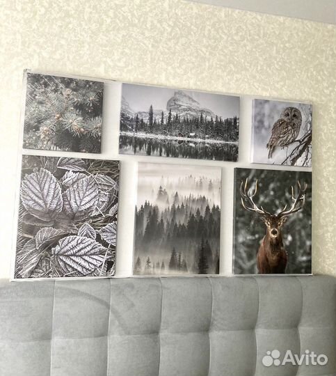 Картины (набор из картин)